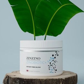 Resim ZinoBiyotik+ 180g | 8 Doğal Lif Kaynaklı Prebiyotik Toz - Bağırsak Sağlığı & Mikrobiyom Desteğiklarınızı tekrar dengeye getirin 