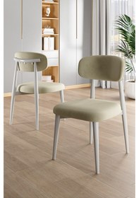 Resim Canisa Laos Serisi 6 Adet Krem Mutfak Sandalyesi Beyaz Metal İskeletli 1. Sınıf Babyface Kumaş Krem Sandalye Ayaklar Beyaz 