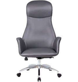 Resim Spider Füme Deri Makam Koltuğu Gri 