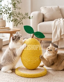 Resim PATİSHOPYA Kedi Tırmalama Tahtası Limon Model Hasır Kedi Tırmalama Oyuncağı 34x18 Cm Dekoratif Kedi Tırmalaması 