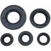 Resim Yamaha Ybr 125 Keçe Seti 