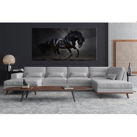 Resim Es10 -2560 Dekoratif Siyah At Kanvas Tablo (50 x 70) 