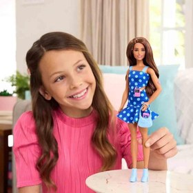 Resim Barbie Büyüleyici Parti Bebekleri Fashionistas HYT97 