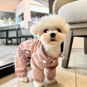 Resim Küçük & Orta Boy Köpekler ve Kediler için Nefes Alabilir Snap-Fit Bacak Isıtıcılar - Tüm Sezonluk Rüzgar Geçirmez & Toz Geçirmez Koruma, İlkbahar Yaz Sonbahar İçin Yumuşak Rahat Tasarım, Güvenli Çıtçıt Düğme Kapama, Ayarlanabilir Konforlu Uyum 