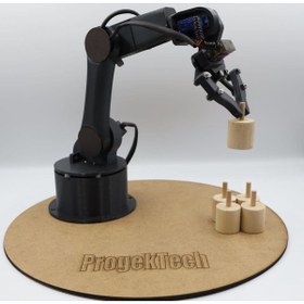 Resim robotsan Robot Kol (6 EKSENLİ) 