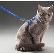 Resim Kedi Gezdirme Göğüs Tasması 