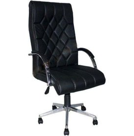 Resim Koltukstilim Z-25 Krom Makam Koltuğu Diğer 