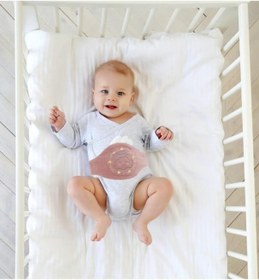 Resim Babyjem Kiraz Çekirdekli Kemer Gül Kurusu 