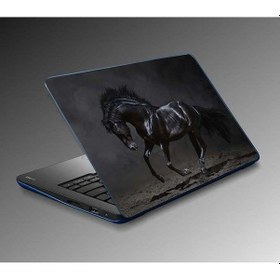 Resim Laptop Sticker Notebook Pc Kaplama Etiketi Horse 