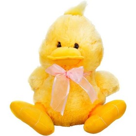 Resim Peluş Ördek 30 cm 
