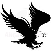 Resim Genel Markalar Kartal Oto Motor Laptop Duvar Folyo Sticker 40X36 Cm Lcst [Lcst] 