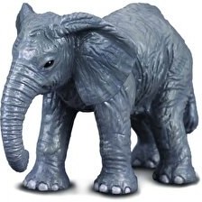 Resim Collecta Yavru Afrika Fili 