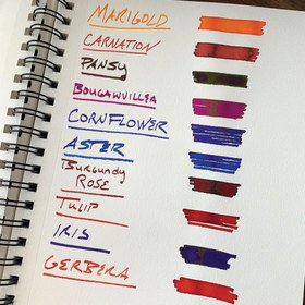 Resim Diamine Flower Cornflower Dolmakalem Mürekkebi - 30 ml 