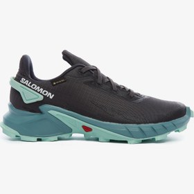 Resim Salomon Alphacross 4 Gore-Tex Kadın Gri Outdoor Ayakkabı 