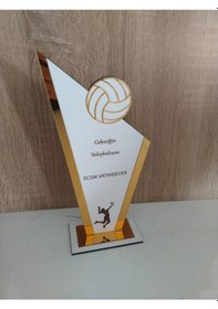Resim Plaket Satranç Masa Tenisi Futbol Basketbol Voleybol Masa 