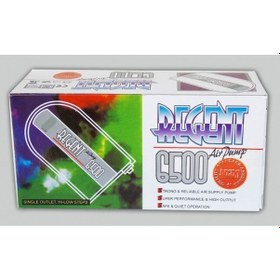 Resim Regent 6500 Tek Çıkışlı Akvaryum Hava Motoru 3W 