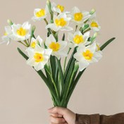 Resim Klasik Stil 3-Lü Yapay Sogan Demetleri, Plastik Sahte Narcissus Çiçeği Demeti, Ev Dekoru için Çeşitli Çiçek Düzeni, Paskalya, Sevgililer Günü, Anneler Günü için - 44.96 cm 