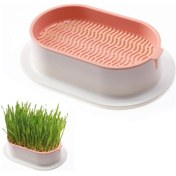 Resim Mufunye Kedi Çimi Ekici Hidroponik Yetiştirme Kiti İç Mekan İçin Topraksız Kedilere Uygun 