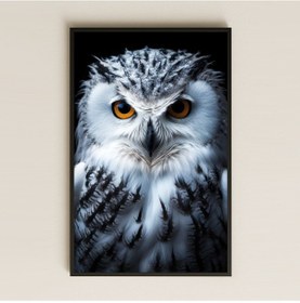 Resim Beyaz Tüylü Baykuş Portresi Dijital Sanat Pleksi Tablo 