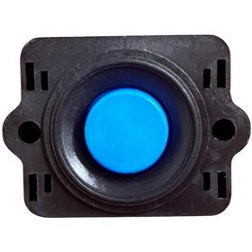 Resim Seaflo Hidrofor Switchi 45 PSI 