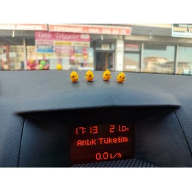 Resim minikbahçem Otomobil Aksesuarı Dikiz Aynası Aksesuarı Dikiz Aynası Süsü Civci 