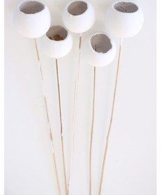 Resim Yapay Çiçek Deposu Dekoratif Bell Cup 5li Tropic Kabak Beyaz 