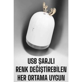 Resim Değirmen Grup Aromaterapi Hava Temizleyici Buhar Makinesi Taşınabilir Şarjlı - Lisinya 