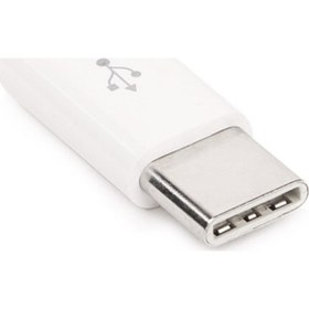 Resim Dark Usb Type C Erkek Micro Usb Dişi Çevirici / Dark 