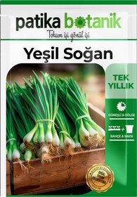 Resim Patika Botanik 400 Adet Ata Tohumu Yerli Yeşil Soğan 