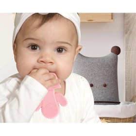 Resim Babyjem Yumuşak Diş Kaşıyıcı Kaktüs Pembe 