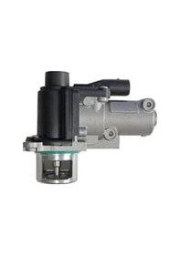 Resim Esse Oto - Caddy-passat Egr Valfi 7.00907.03.0 / 710572d 04-10 Ngk 97746 03g131502 