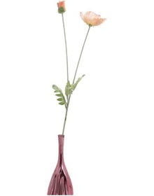 Resim T.concept Büyük Pembe Gelincik Hanghuı-009 