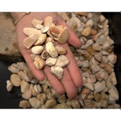 Resim Asenya Sarı Çizgili Dolomit Taş 1.5-2.5 CM Bahçe Süs Taşı Dolamit Taş Dekoratif Taş Çakıl Taşı 5 KG 