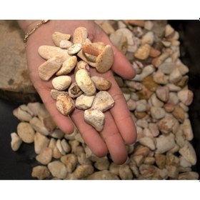 Resim Asenya Sarı Çizgili Dolomit Taş 1.5-2.5 CM Bahçe Süs Taşı Dolamit Taş Dekoratif Taş Çakıl Taşı 5 KG 