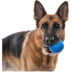 Resim PALLA RUGA KÖPEK ÇİĞNEME OYUNCAĞI 