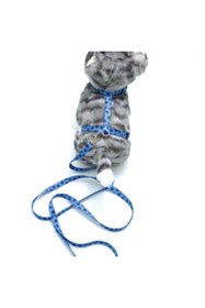 Resim Ne verelim size Kedi Patili Göğüs Tasması Ve Gezdirme Seti Ps9646 