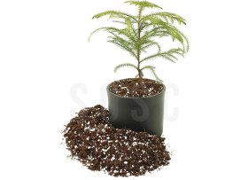 Resim Dora Shopping Substrat Lıght Mıx Ithal Sphangum Torfu Cocopeat Perlit Özel Karışım Saksı Harcı Bitki Toprağı 1 Lt 