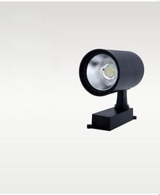 Resim 30W Siyah Ray Spot 4000K (Gün Işığı) 