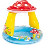 Resim Intex 57114 Mantar Gölgelikli Şişme Taban Havuz 102 CM Çok Renkli 