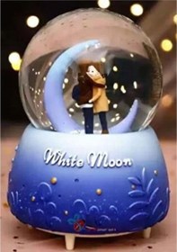 Resim Kar Küresi Orta Boy Wy20k08 Tg-v 1734 