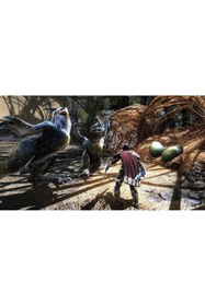 Resim THQ Nordic Kingdoms of Amalur Re-Reckoning PS4 Oyun 