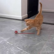 Resim 1 Kedi Oyuncak, Kedi Köpek Etkileşimli Top, Kedi Akıllı Teşvik Kedi Topu, Köpek Oyuncak, Evcil Hayvan Oyuncak, Kendi Kendine Eğlenceli Yavru Kedi Otomatik Kaçınma Evcil Hayvan Elektrikli Rulo Top, Kediler ve Köpekler İçin Uygun, Onlarla, Kediler ve Köpekler Daha Fazla Bozulmayacaktır 