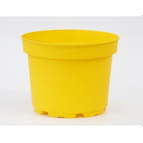 Resim Sarı Limon Saksısı 3 Adet ( 1.5 Litre ) 