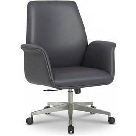 Resim Zıeno Auras Çalışma Koltuğu Diğer 