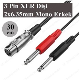 Resim 3-Pin Xlr Dişi To 2 X 1-4 "6.35Mm Mono Erkek Trs Y Kablo - 30Cm 