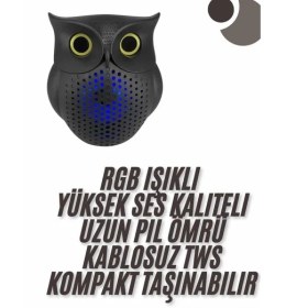Resim Techno Stock Bluetooth Hoparlör Tws Kablosuz Rgb Işıklı Dekoratif Taşınabilir Baykuş 