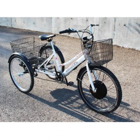 Resim Dorello Elektrikli Bisiklet Cargo Bisiklet -Pazar Bisikleti Yük Taşıma Bisikleti 
