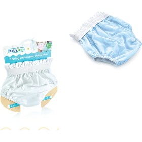 Resim Babyjem Alıştırma Külodu 2 Yaş Mavi 