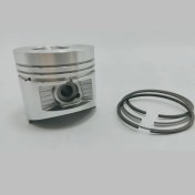 Resim Motokent Piston + Segman Seti (1.00 , Çap:79.00 mm): Ruggerini, Ry 70 