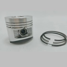 Resim Motokent Piston + Segman Seti (1.00 , Çap:79.00 mm): Ruggerini, Ry 70 